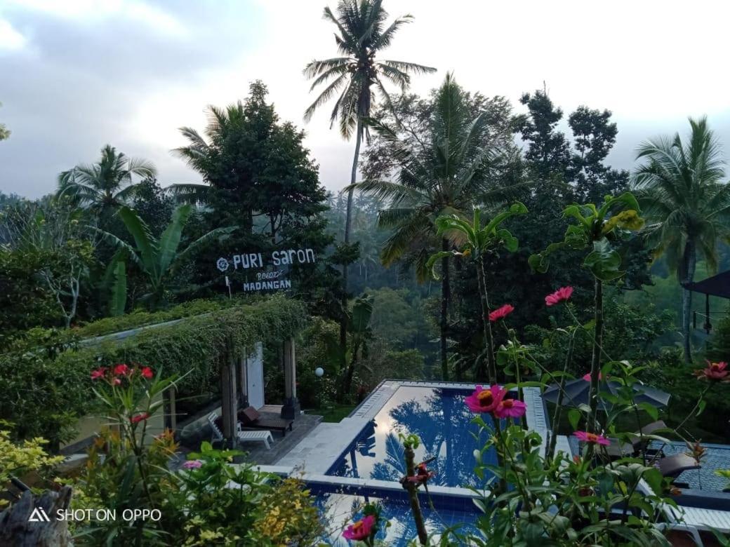 Puri Saron Hotel Madangan - Gianyar بيانغان المظهر الخارجي الصورة